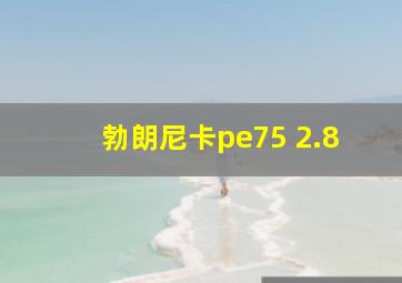 勃朗尼卡pe75 2.8